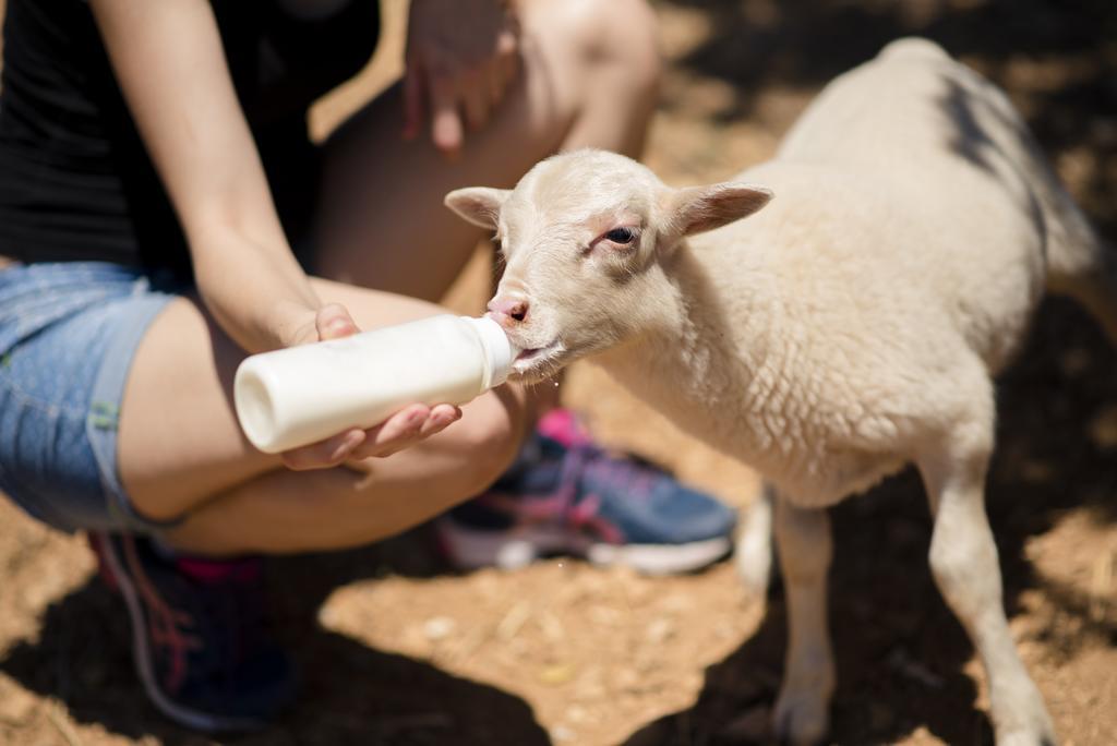 Agroturismo Sa Marina Alquería Blanca 외부 사진